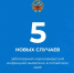 В Алтайском крае выявили новые случаи заболевания коронавирусной инфекцией - Администрация Троицкого района