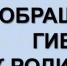 9cDhh10mLUE3kAlNNS 6y7bpmhRmflyBklaX bZp6cmherOlOw4FaG9gTXkgW42chlVttZvvsPPupJB5KNJcN37P - Комитет по образованию