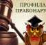 Profilaktika pravonarusheniy - Комитет по образованию